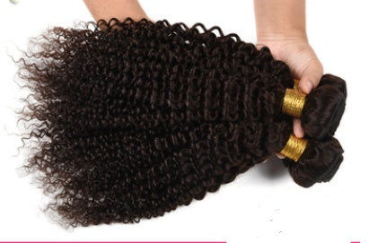 Brazilian hair curtain wig kinky curly wave human hair