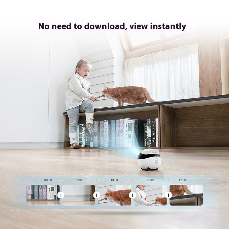 Whole House Mobile Camera Wireless Monitor