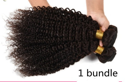 Brazilian hair curtain wig kinky curly wave human hair