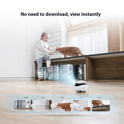 Whole House Mobile Camera Wireless Monitor